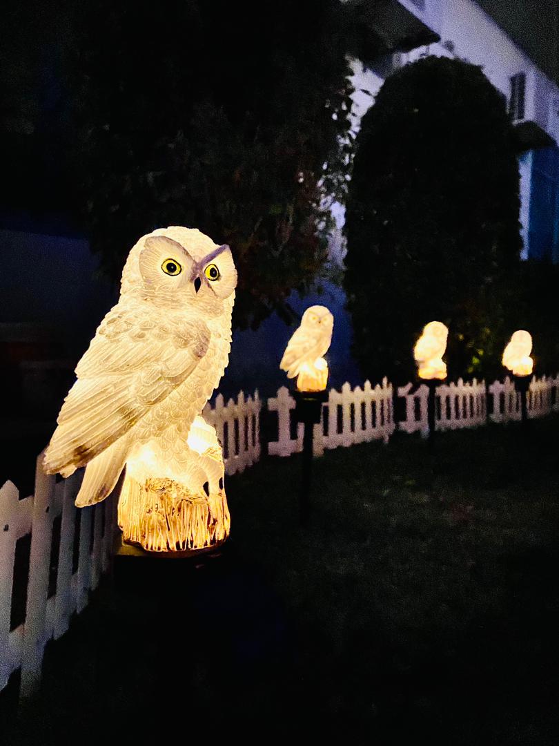 Solar Powered Lawn Lamp