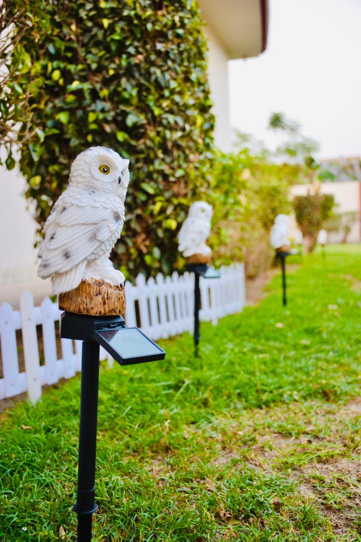 Solar Powered Lawn Lamp