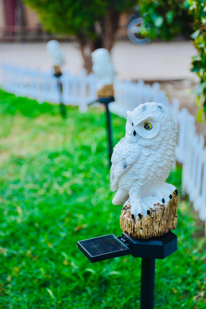 Solar Powered Lawn Lamp