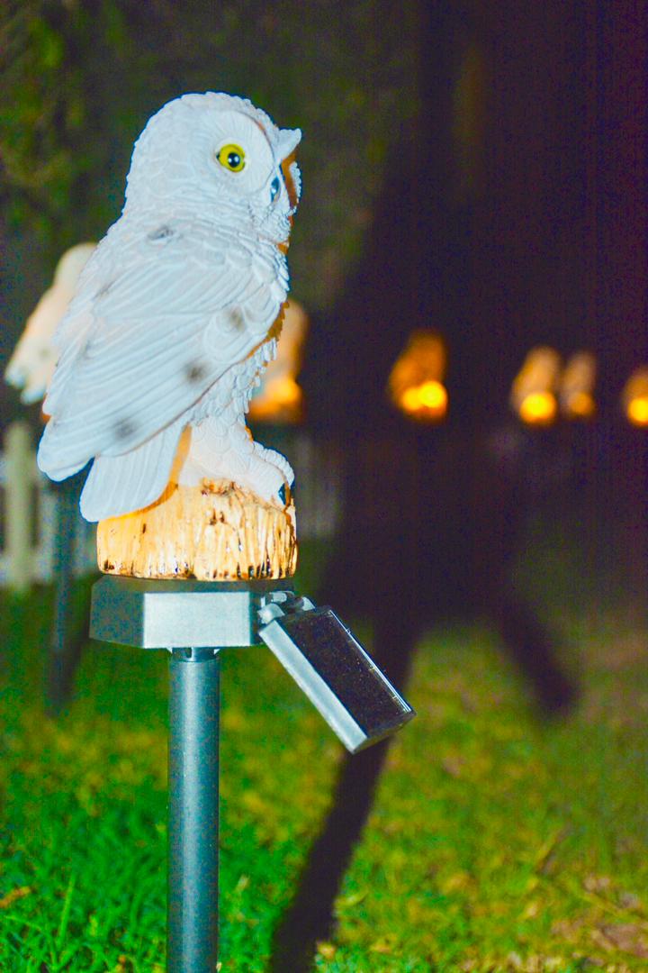 Solar Powered Lawn Lamp