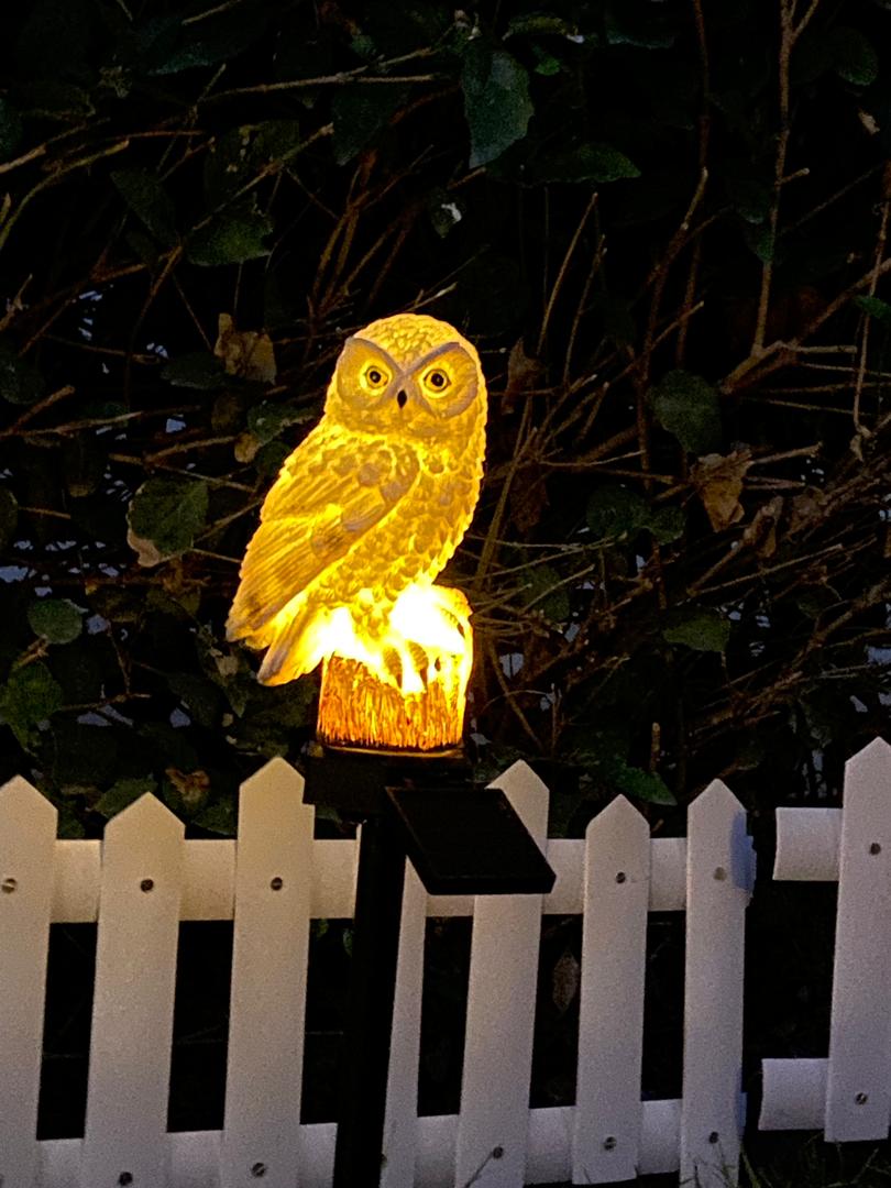 Solar Powered Lawn Lamp