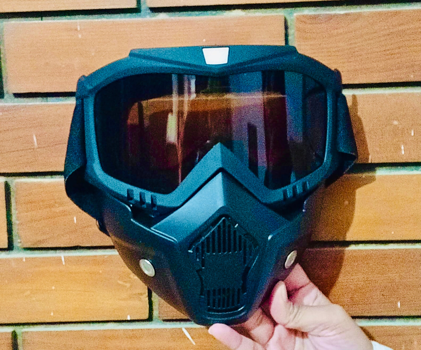 Winter Face Shield Mask